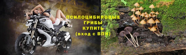 а пвп мука Богородск